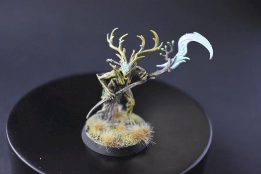 BRANDWYCH SYLVANETH by juanlurockerman