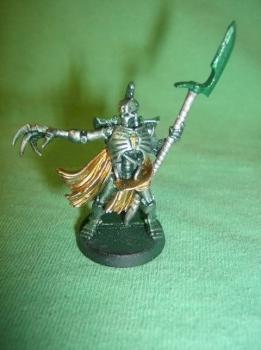 Cryptmarshal Kyphon of Locust Regiment by skyfurnace