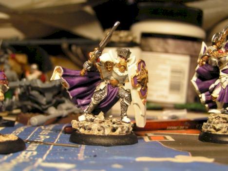 Paladin of the Order of the Wall by Mr,John Doe
