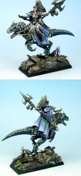 Dark Elf on cold one by Jamie