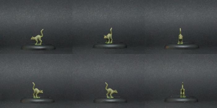 cat by Aenor