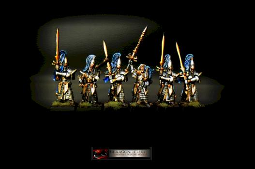 Warhammer Guerriers Hauts Elfes by Hexagone Club