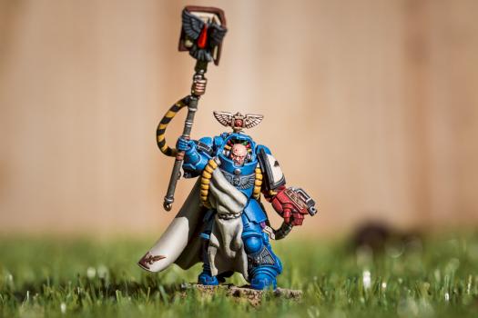 Blood Raven Primaris Librarian by scoots1m
