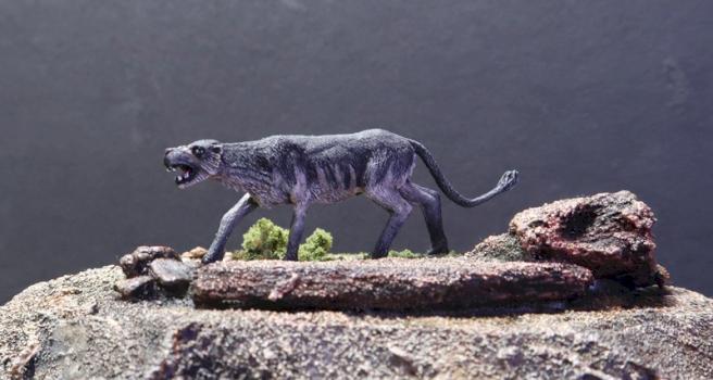 badger wolf by jdmoyer