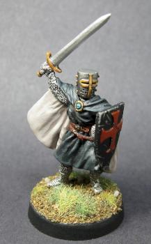 02119: Knight Templar by mikecarrero