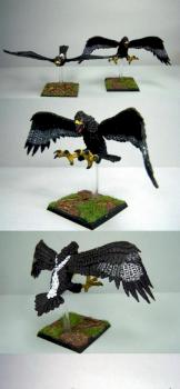 Grands Aigles by sceolan