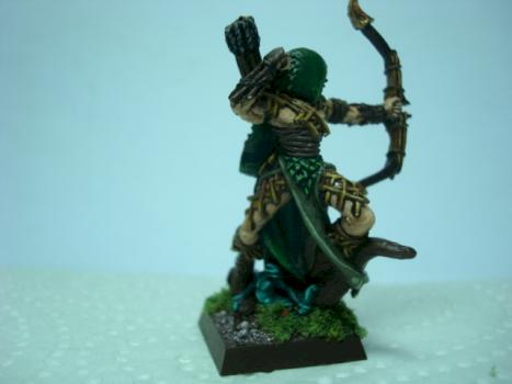 Wood elf lord by wolveab