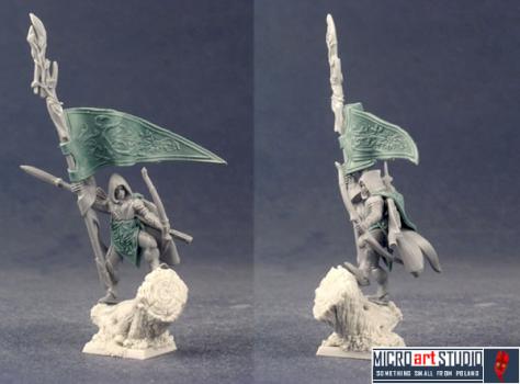 Wood Elf Standard Bearer #4 by vandoc