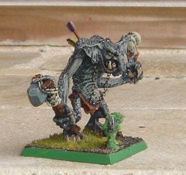 troll by coyote nitro