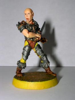 Warrior 28mm by ginuss