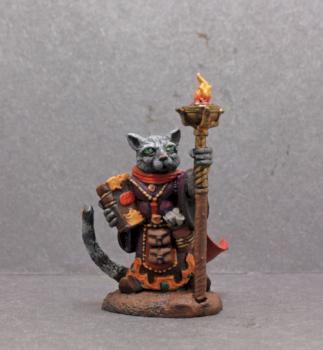 Dark Sword Cat Mage by superbug983