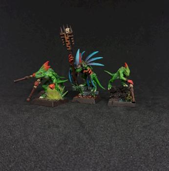 Warhammer Lizardmen Skinks and Priest by Bauer