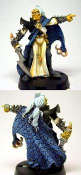 Dark Elf Corsair Comander by Dazzler