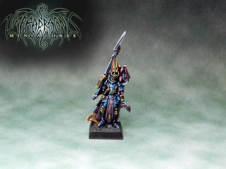 Dark Elves Lord by Umbra Draconis