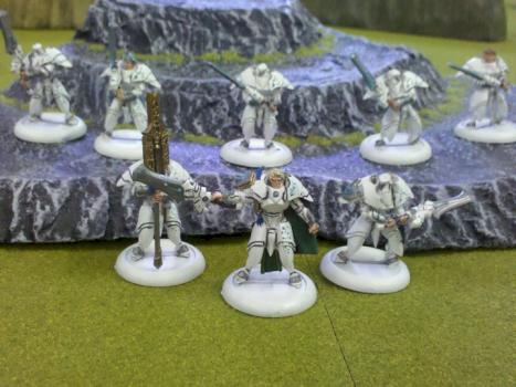 Dawnguard Sentinals with Officer and Standard Bearer by Raevyn