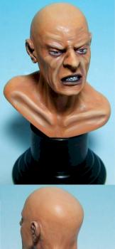 1/7 Expressions Bust from Roy Hunt Miniatures by matty1001