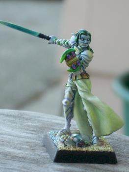Warcrow elf fighter by ninjakitty