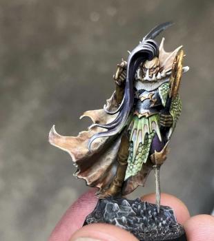 Black Ark Fleetmaster by aspiring.paint.bringer