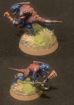 Skink Red and Blue by Tyndareus