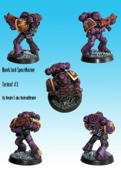 Hawk Lord Space Marine - Tactical # 2 by Kendert