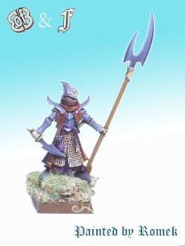 Dark Elves Noble Conversion by focusstudio