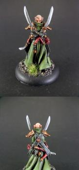 Warmachine Retribution of Scyrah : Narn, Mage hunter of Ios by deathhelm