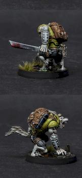 Infinity Ariadna Sergent Lafayette Duroc by BloodyBeast.com
