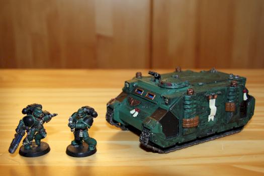 Salamanders 2 by CommanderBrant