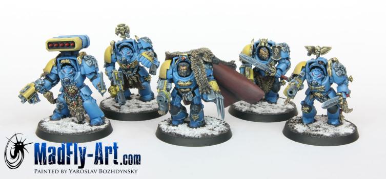 Wolf Guard Terminators by MadFlyArtStudio