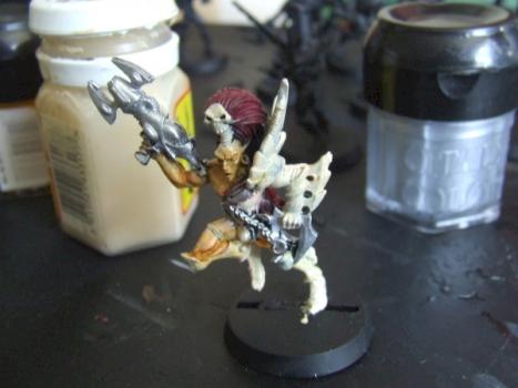 Dark Eldar Wych by Novasry