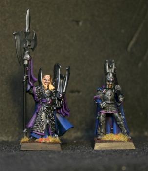 High Elf Caradryan by exocorp