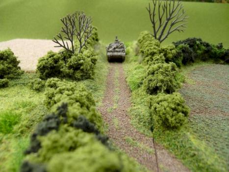 Terrain Feature - Shawn Morris Design by Shawn Morris