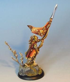 Warhammer Wood Elf Standard bearer by Wappellious