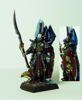 Dark Elf Dread Lord by cyphercodicer1983