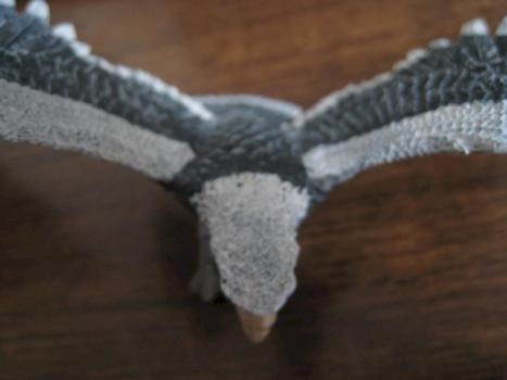 Eagle#2 by A New Hope