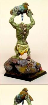 Slugdrool the Troll - From the Battle for Skull Pass box set by arogers907