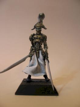 guerrier construct by The Koët Master
