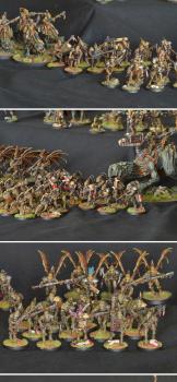 Kroot Proghnak complete army by Shi Vral