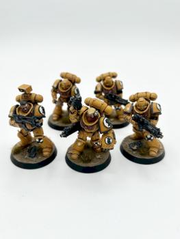 5X Primaris Intercessors Imperial fists space marines WARHAMMER 40k by juanlurockerman
