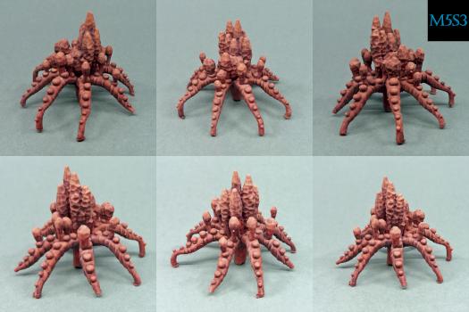 Coral by M5S3