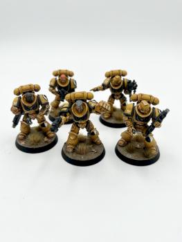 5X Primaris Intercessors Imperial fists space marines WARHAMMER 40k by juanlurockerman