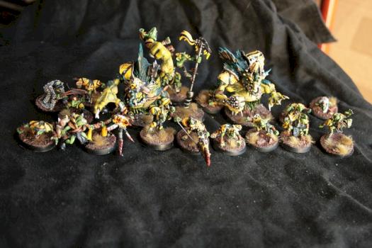 Equipe gob bloodbowl by vassagoth