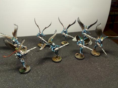 Zahr Taan Swooping Hawks by Kir Shadowwalker