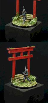 ninja by danemccray