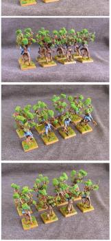 Wood Elves Driads (converted)) by Diarsid