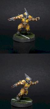 Bloodbowl Human team by honh