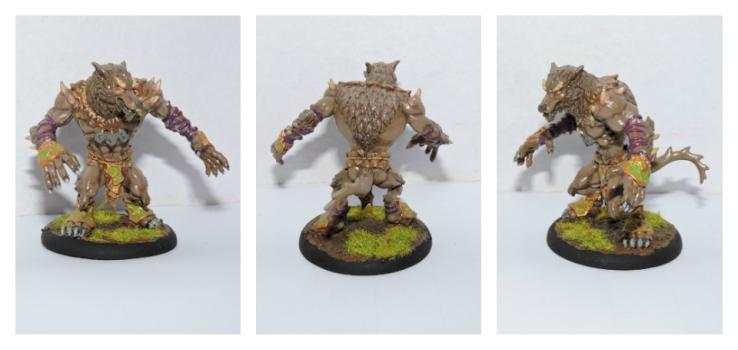 feral warpwolf cricle orboros by rafaelinium