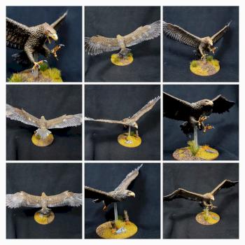 Gwaihir / Great eagles by werner