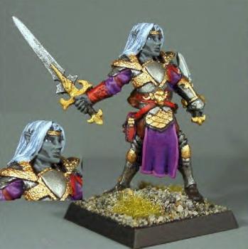 Anduriel, Elf Warrior by Royal Curator