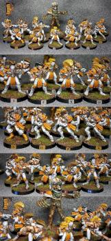 Blood bowl elf team 2ª edition by fanath